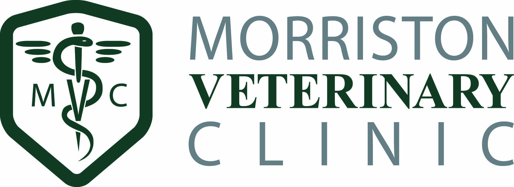 Morriston Vet Clinic